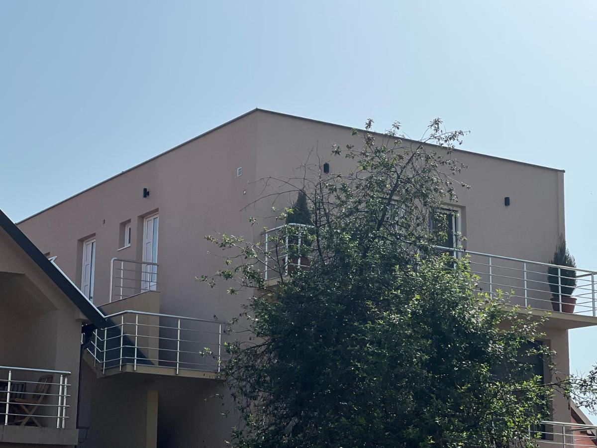 Apartman Scepanovic Niksic Exterior foto